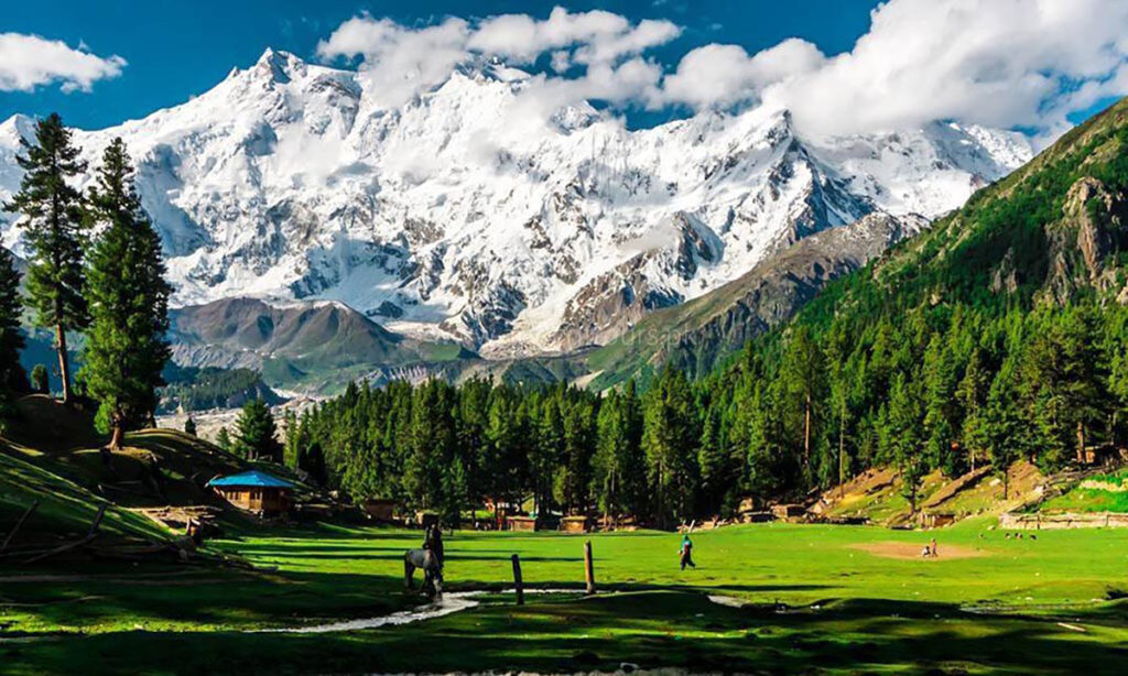 Trip trails Pakistan Fairy meadows