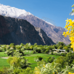 Book Chitral Valley Tour